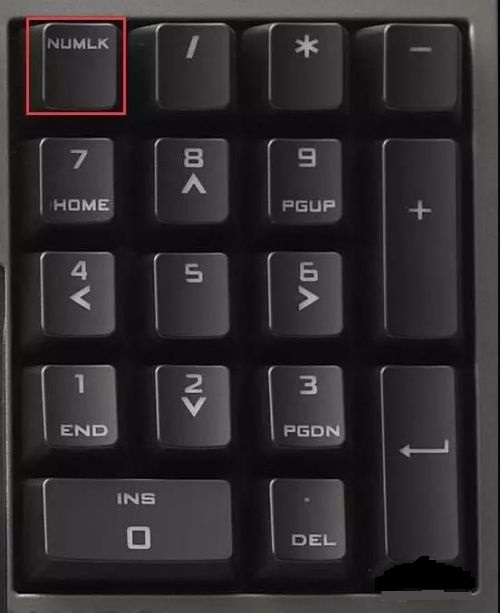 键盘右边数字按不出来怎么解决
