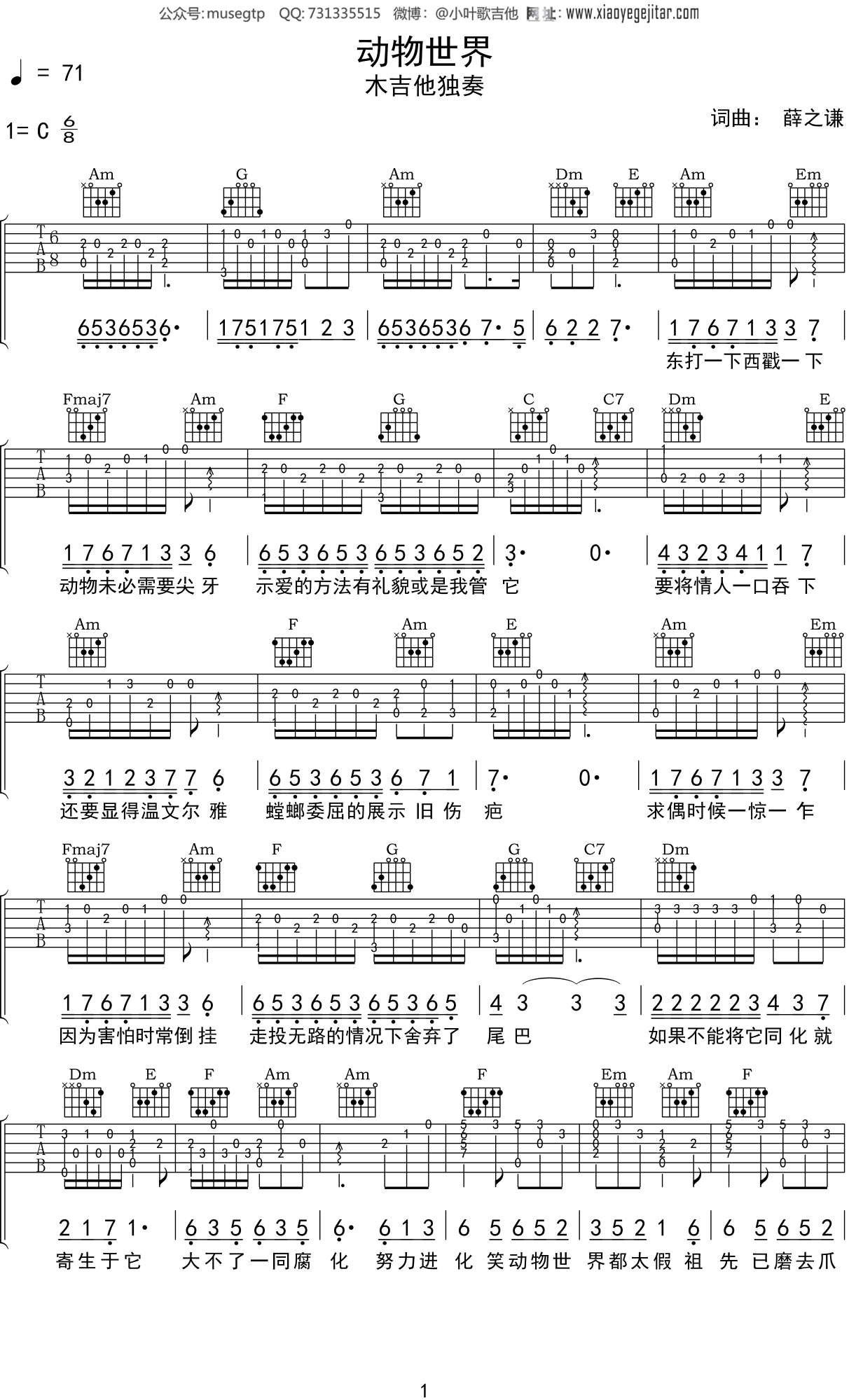 动物世界主题曲歌名
