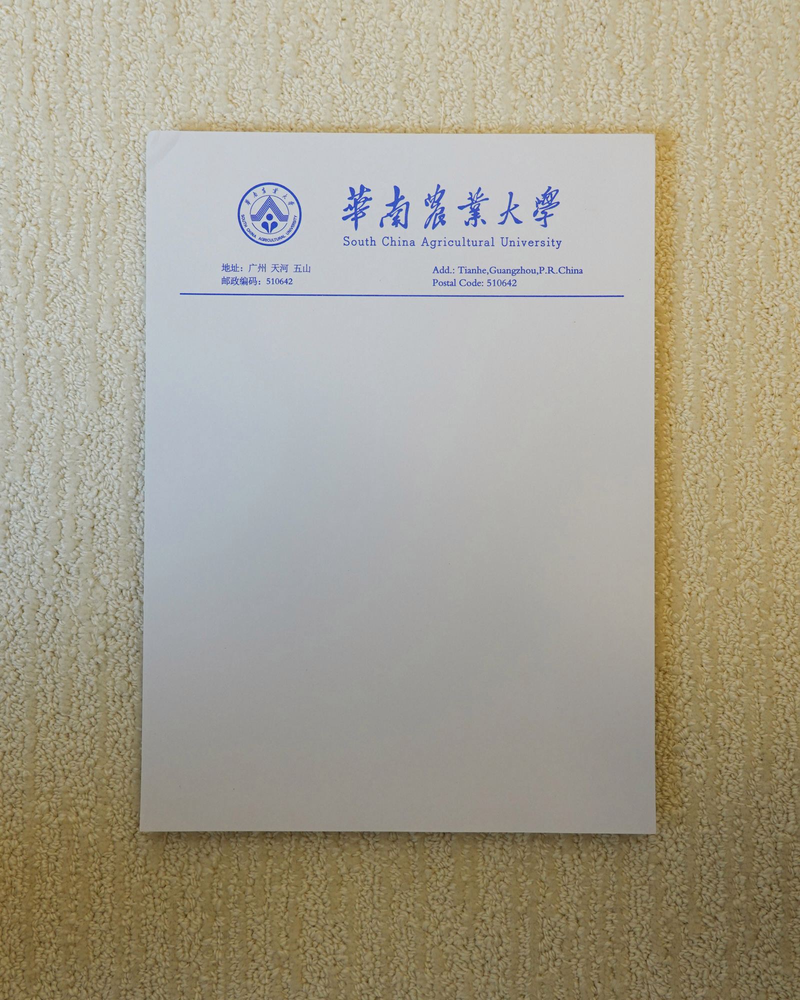 单位正规抬头纸制作