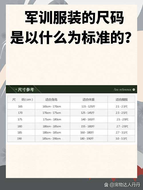 男士170是多大尺码图片