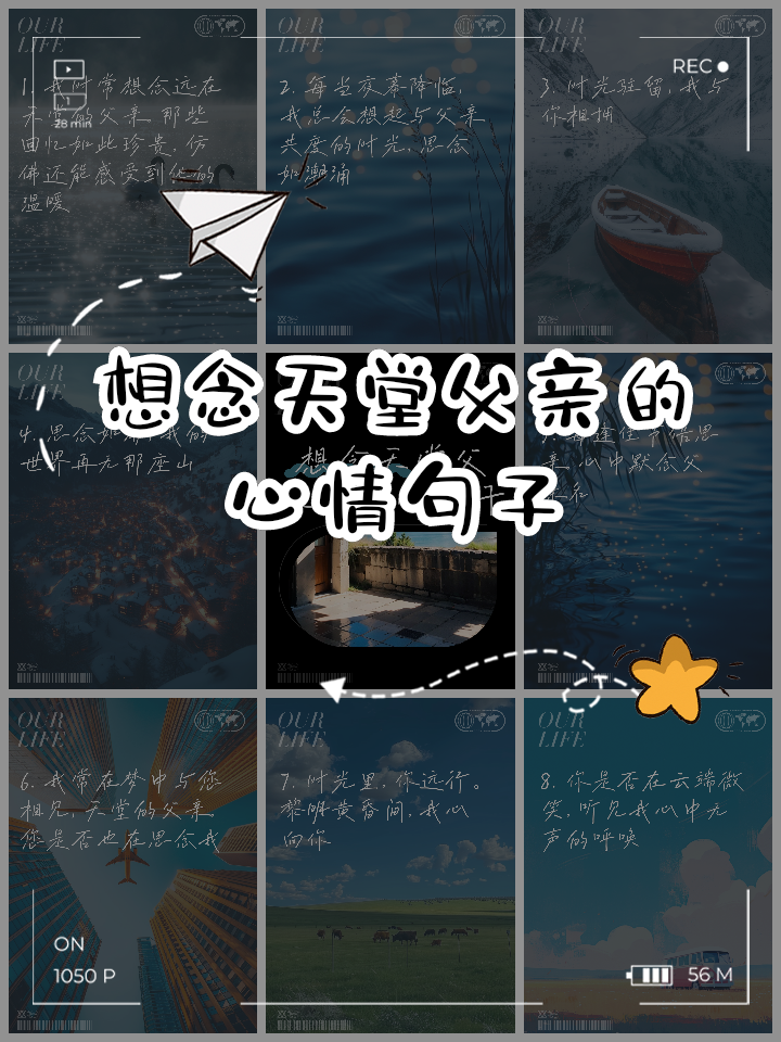 想念父亲经典语录