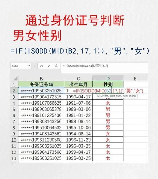 excel男女选择怎么设置