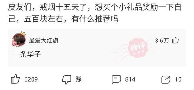 新闻评论是什么意思