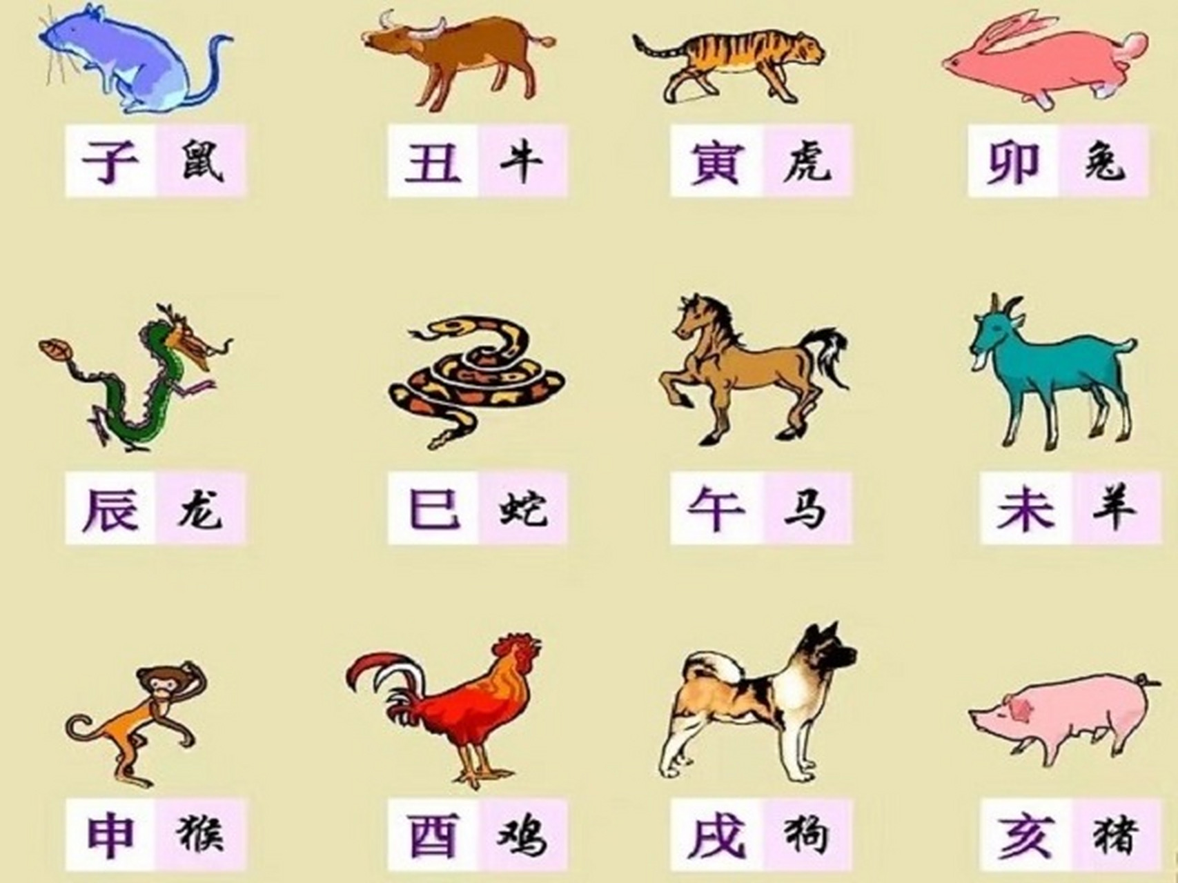 属相生肖表