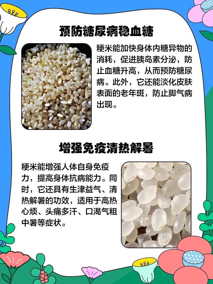籼怎么读
