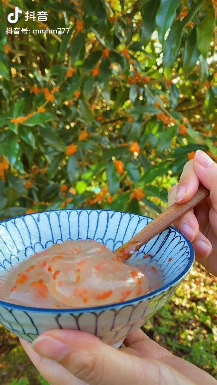 自制桂花纯露视频