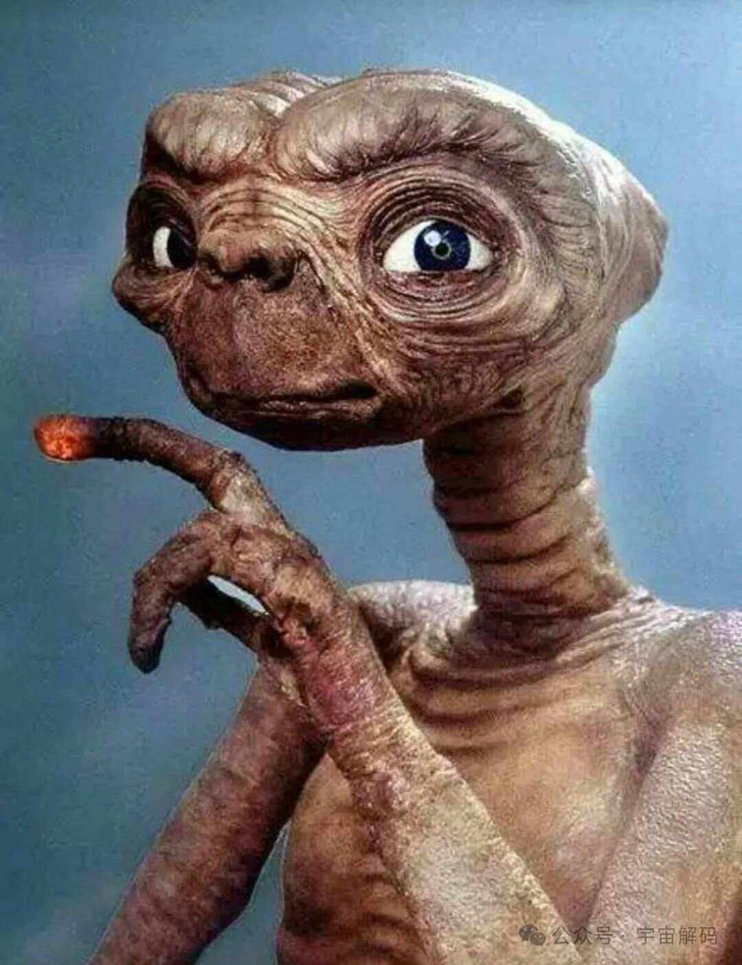 世界上真的有外星人吗资料