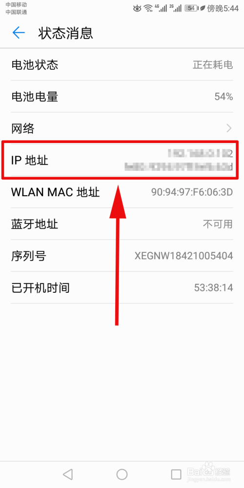 本机ip 查询