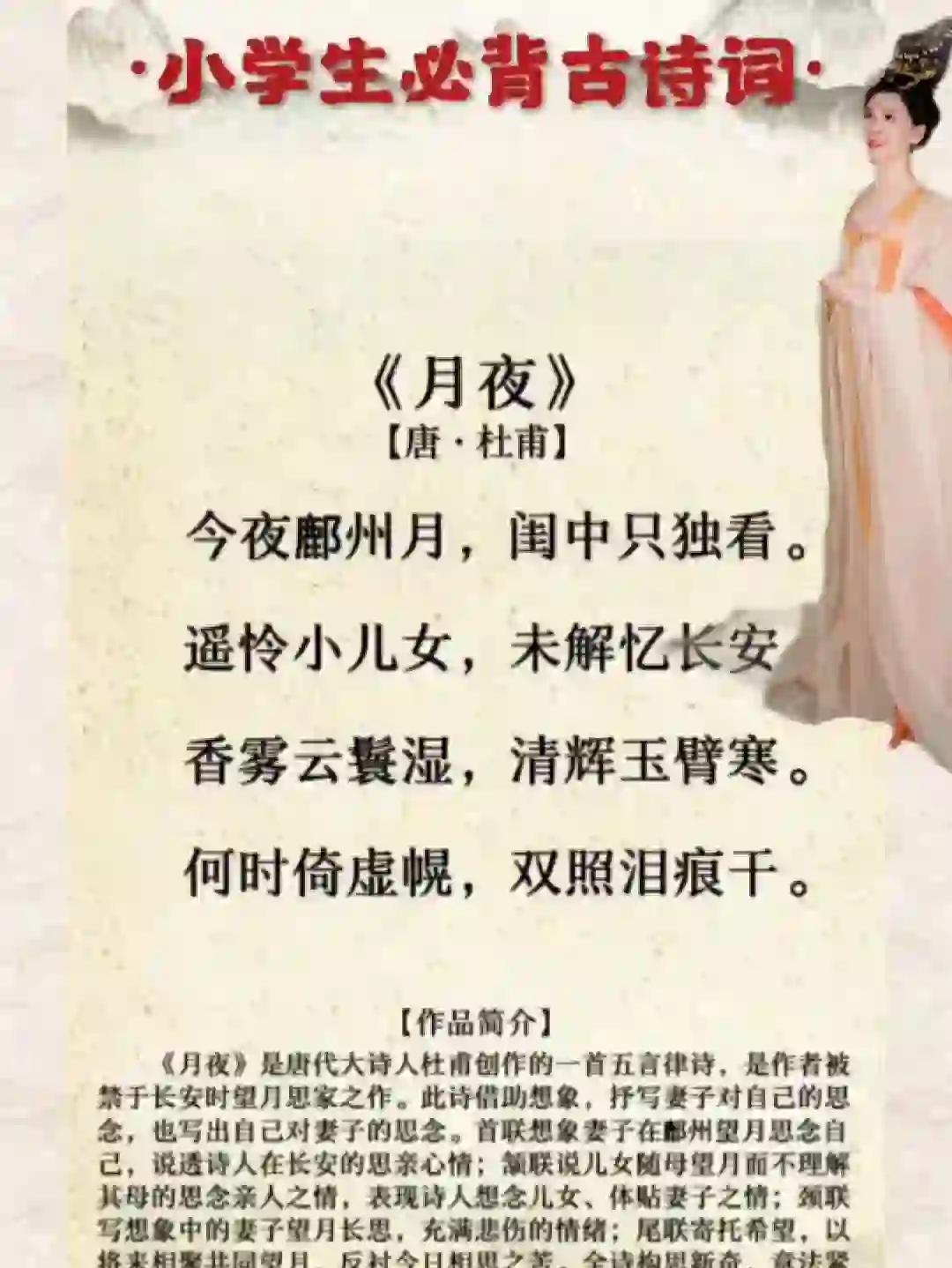 月夜花朝讲的什么