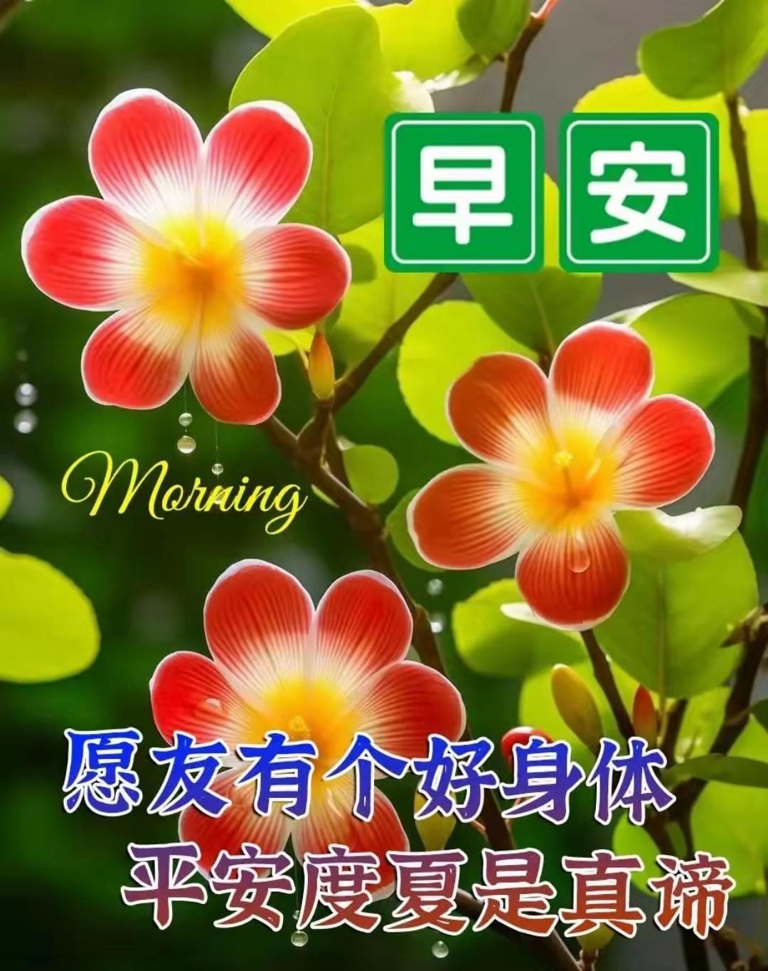 生活很悠哉
