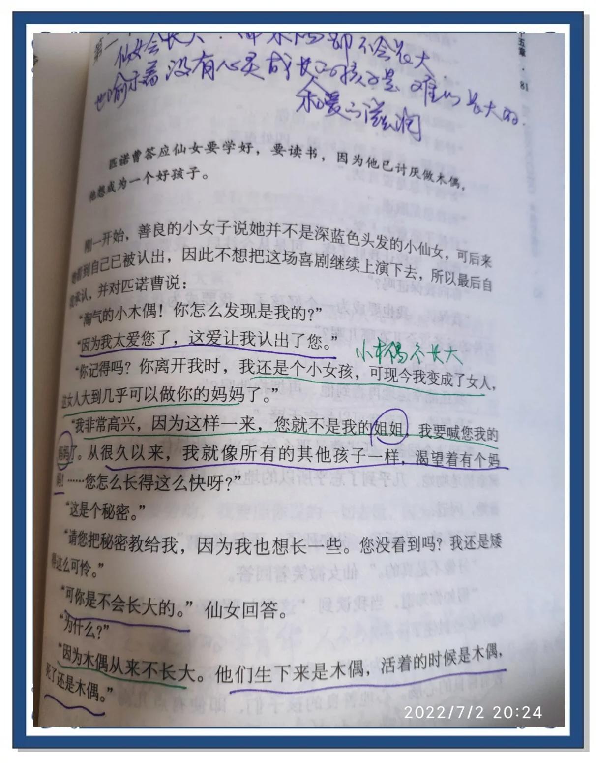 木偶奇遇记故事介绍50字