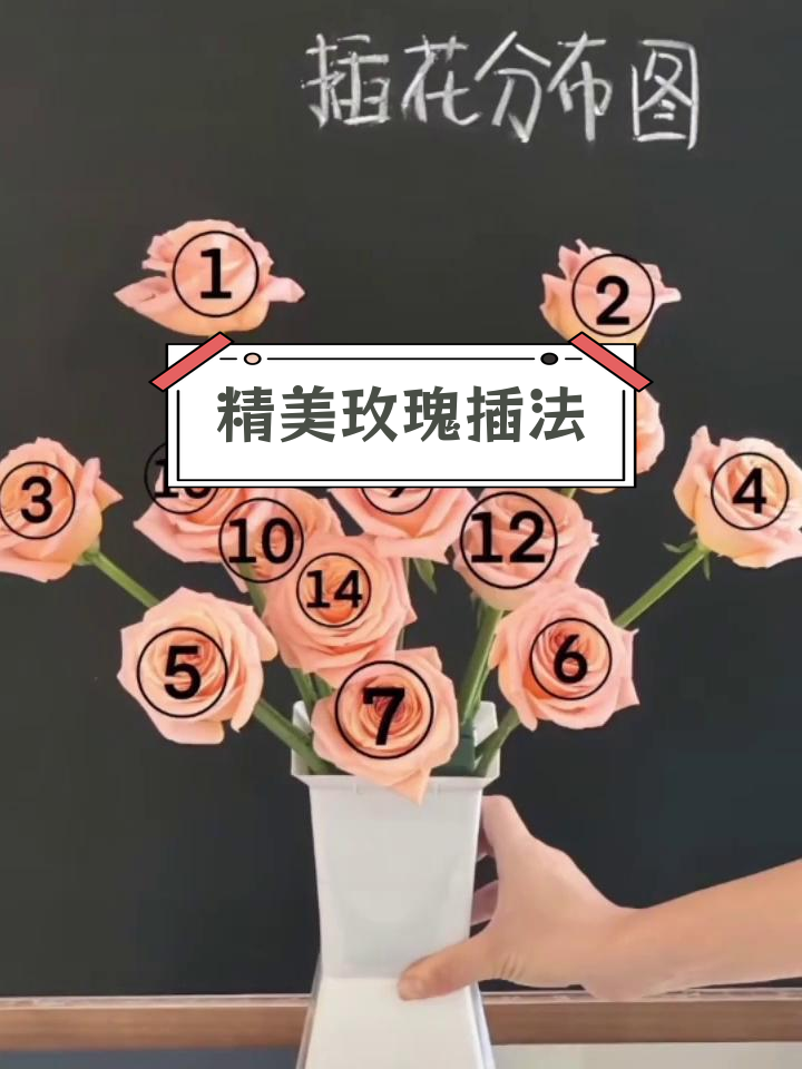 插花的基本知识和技巧有哪些