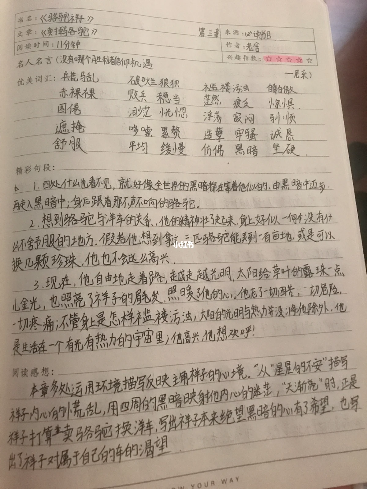 骆驼祥子读书笔记摘抄1~24章