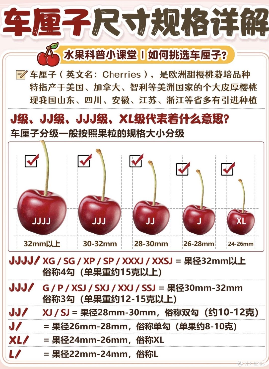 车厘子和樱桃是不是一样的?