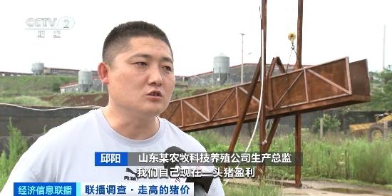 一头猪到出栏能挣多少钱