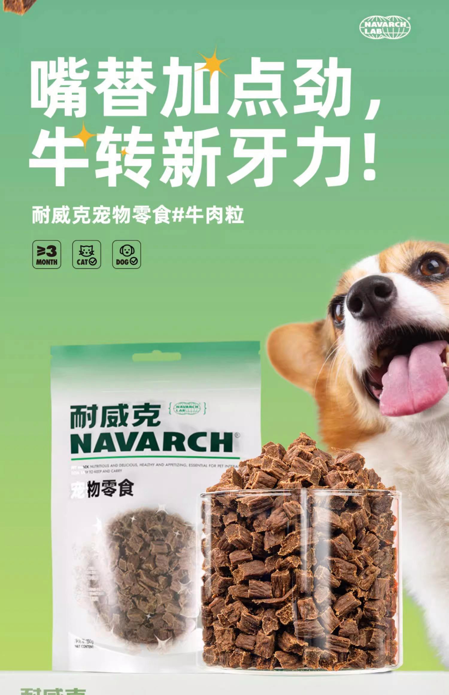 泰迪犬吃些什么