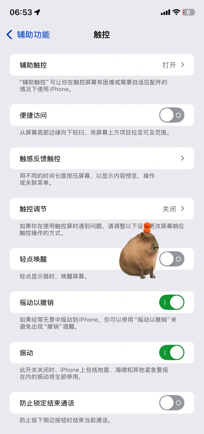 iphone描述文件删不了怎么办