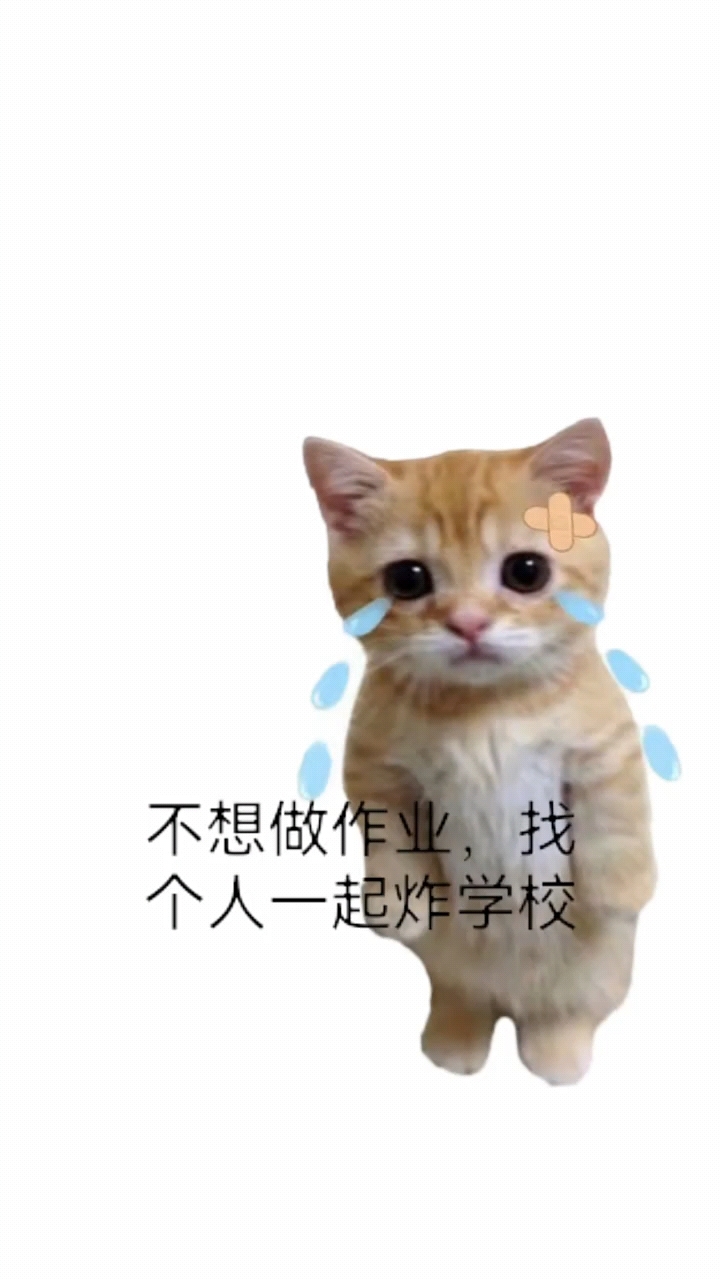 不想上学怎么回事