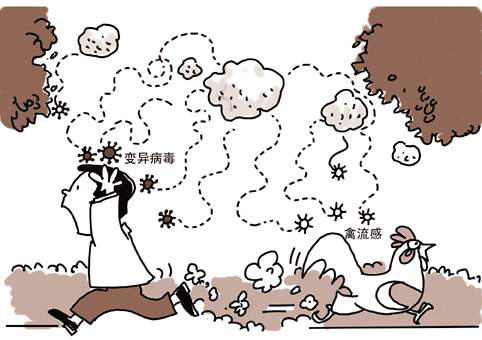 h10n3禽流感病毒介绍