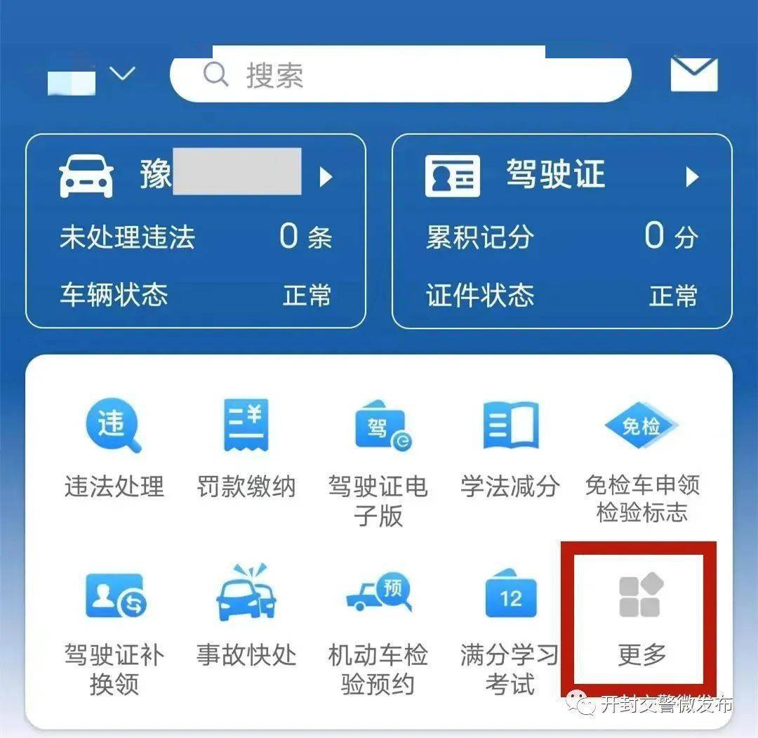 网上怎么查看自己的驾驶证