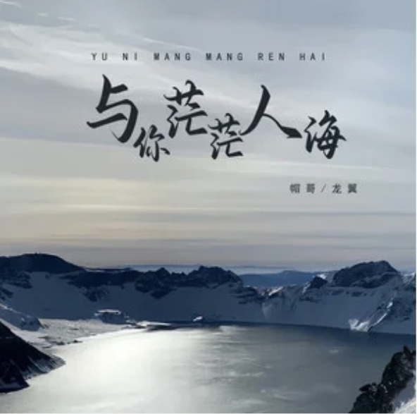 茫茫人海是什么意思啊