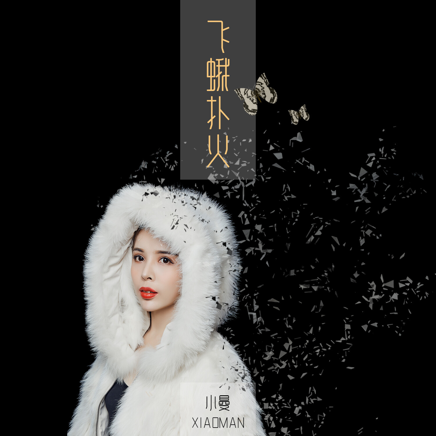 飞蛾扑火这首歌的歌词