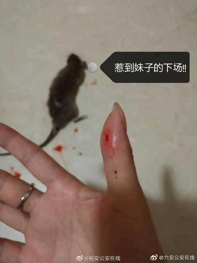 老鼠咬人有什么预兆会有好运吗