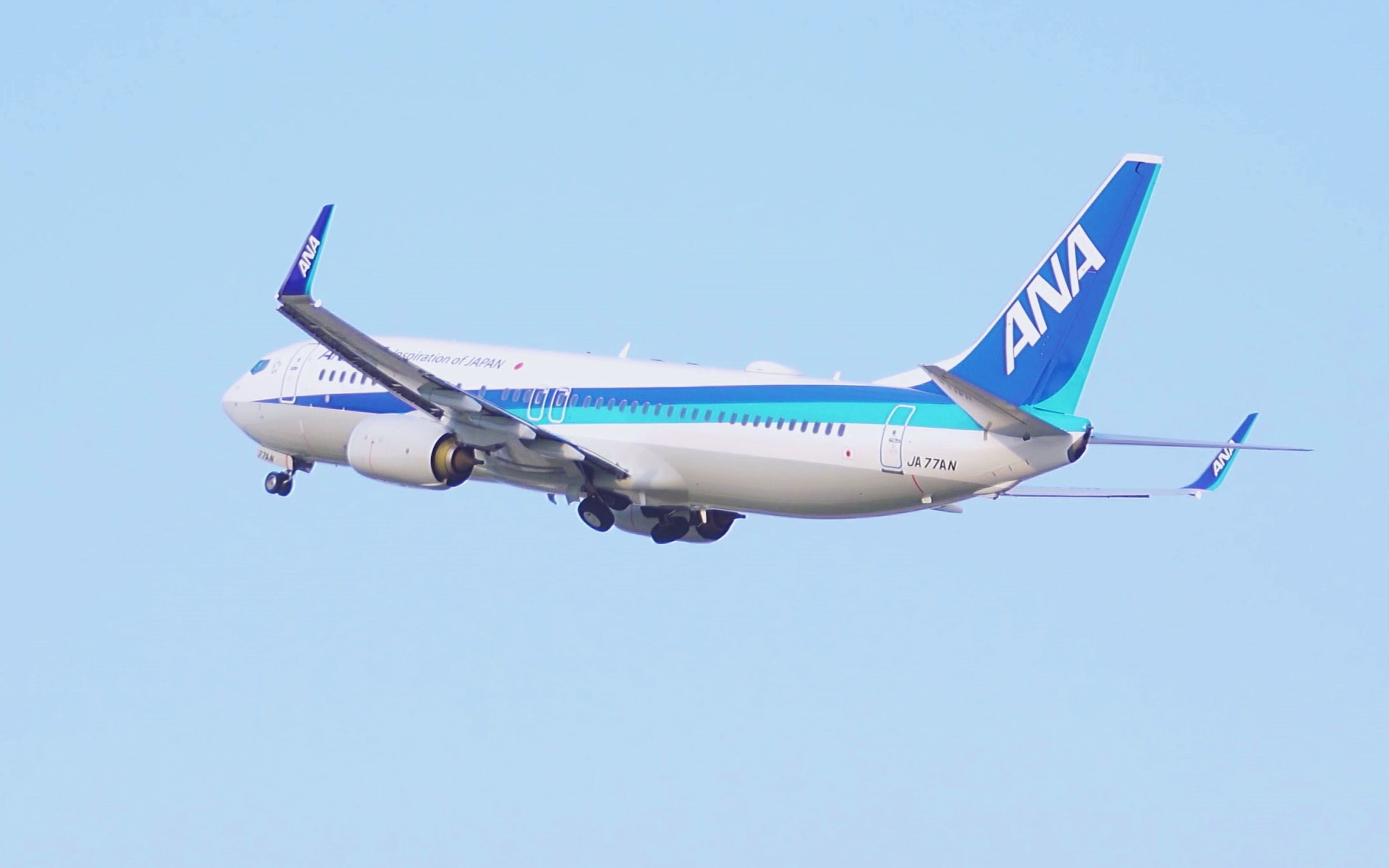 波音737800飞机能坐多少人