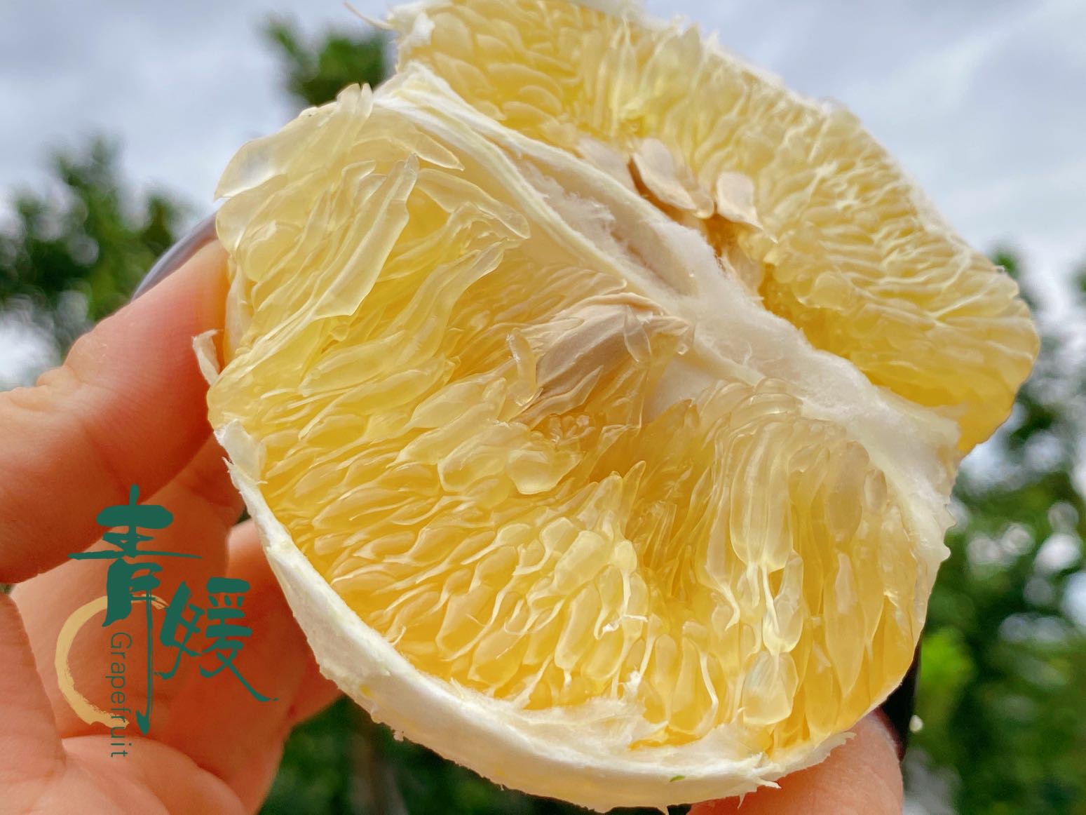 柚子什么时间段好吃