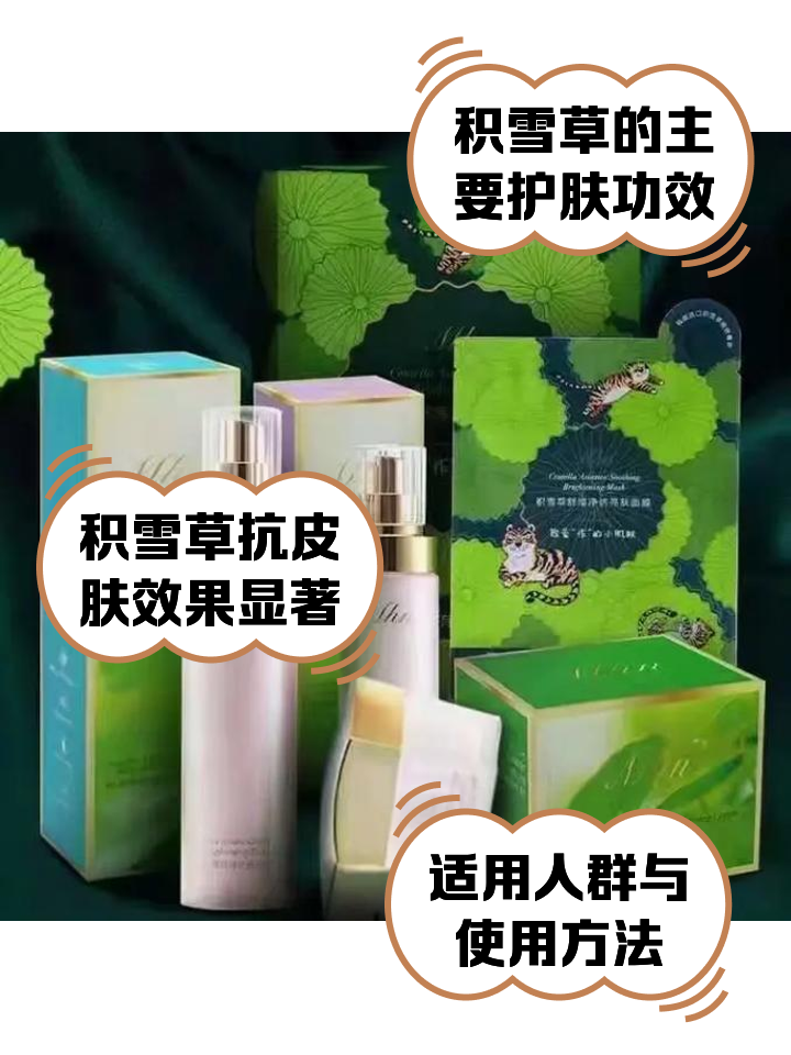 草本精华素作用是什么