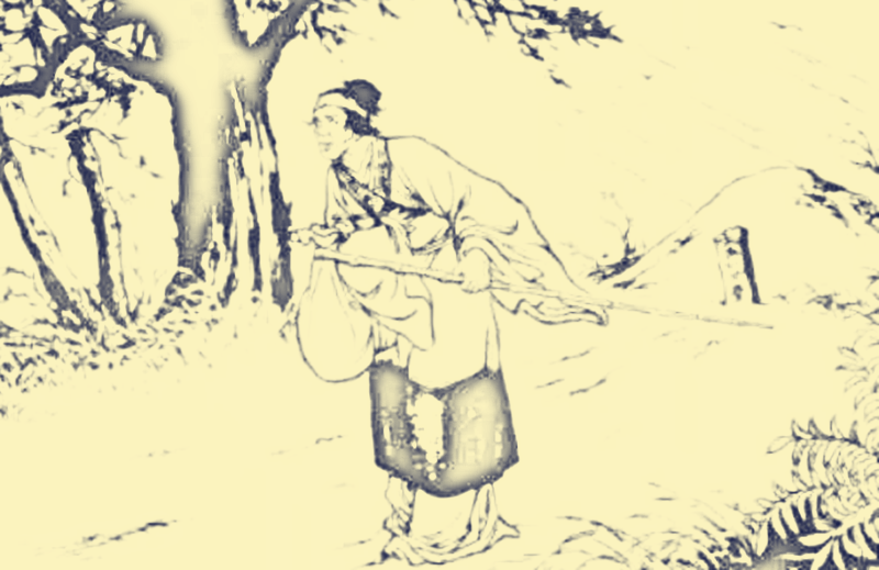 杳无音信哪个字错了