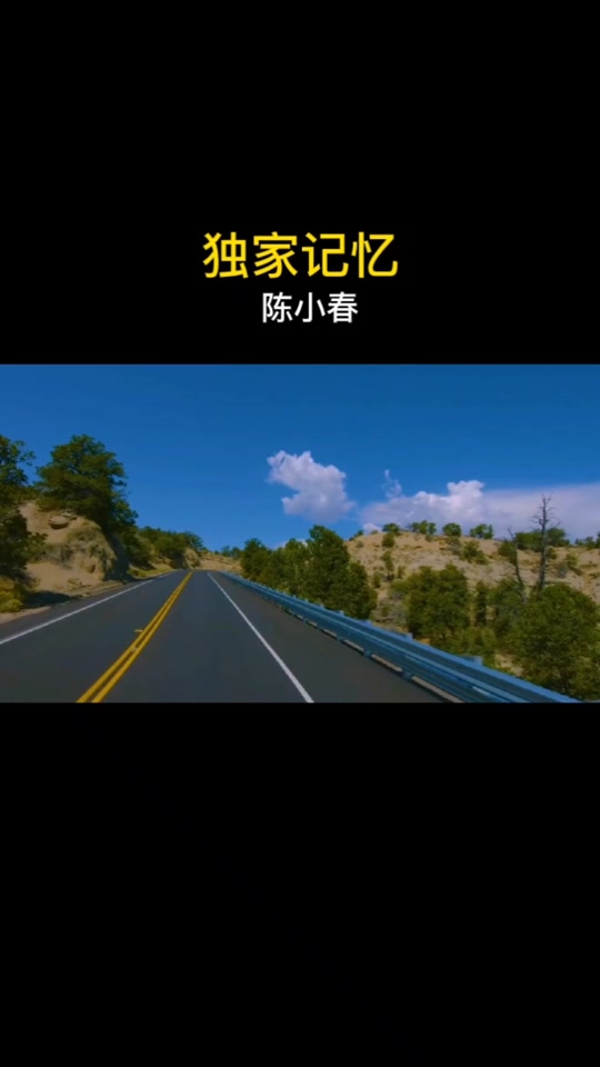 独家记忆这首歌谁唱的