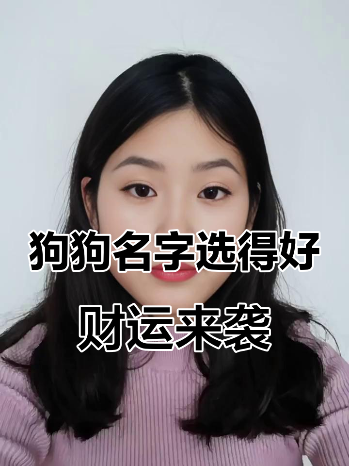 精致狗狗名字