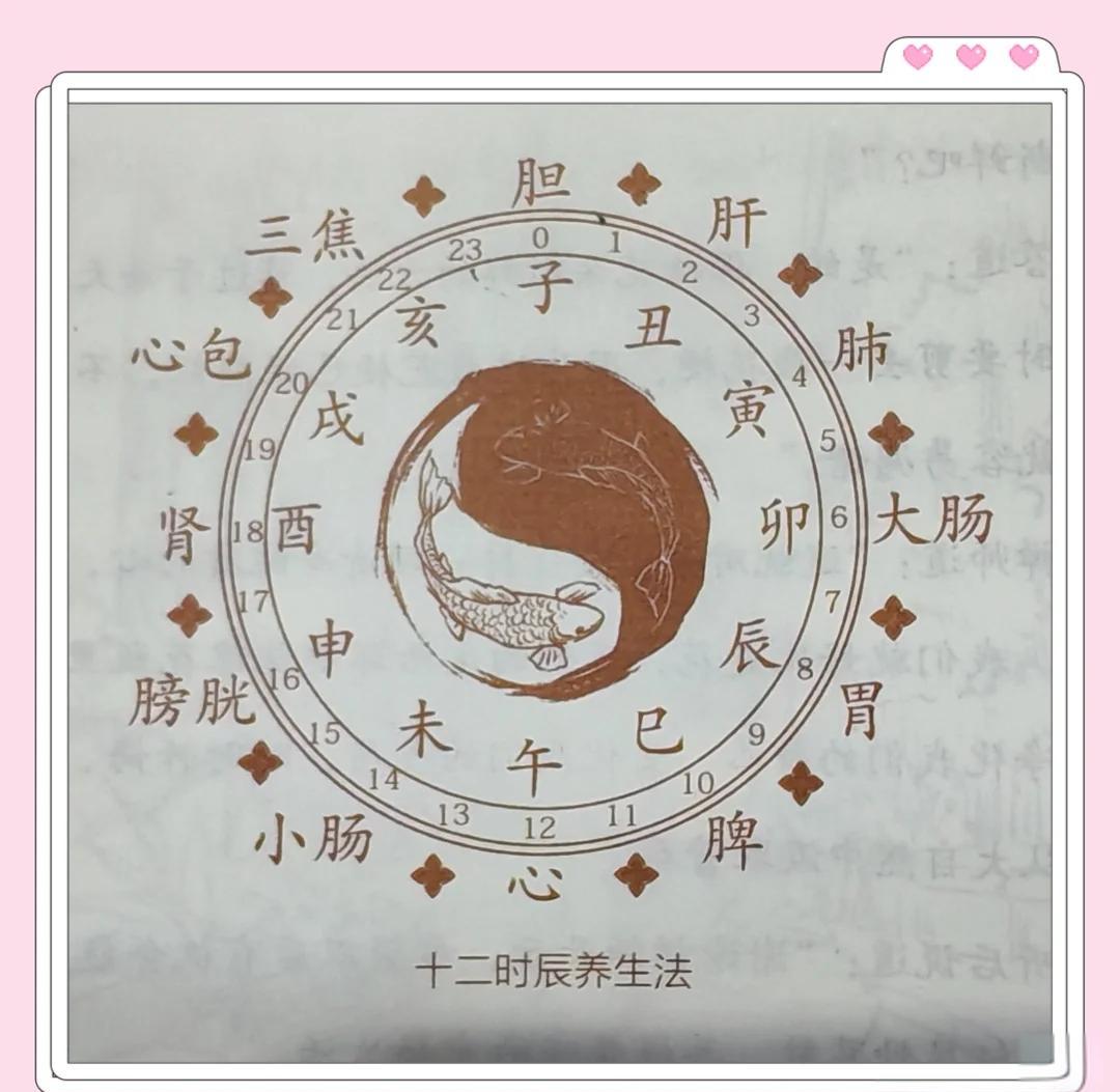 亥加什么偏旁组成新字再组词