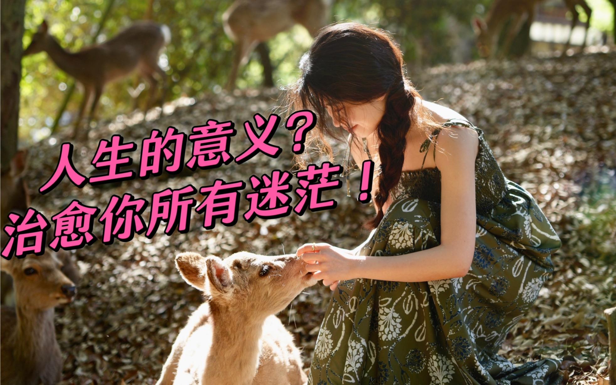意义 是什么意思