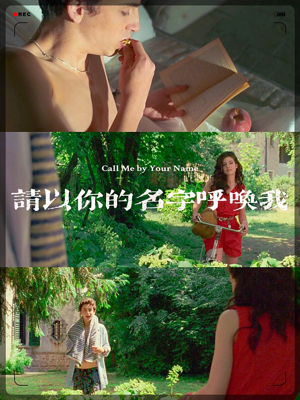 请以你的名字呼唤我台词