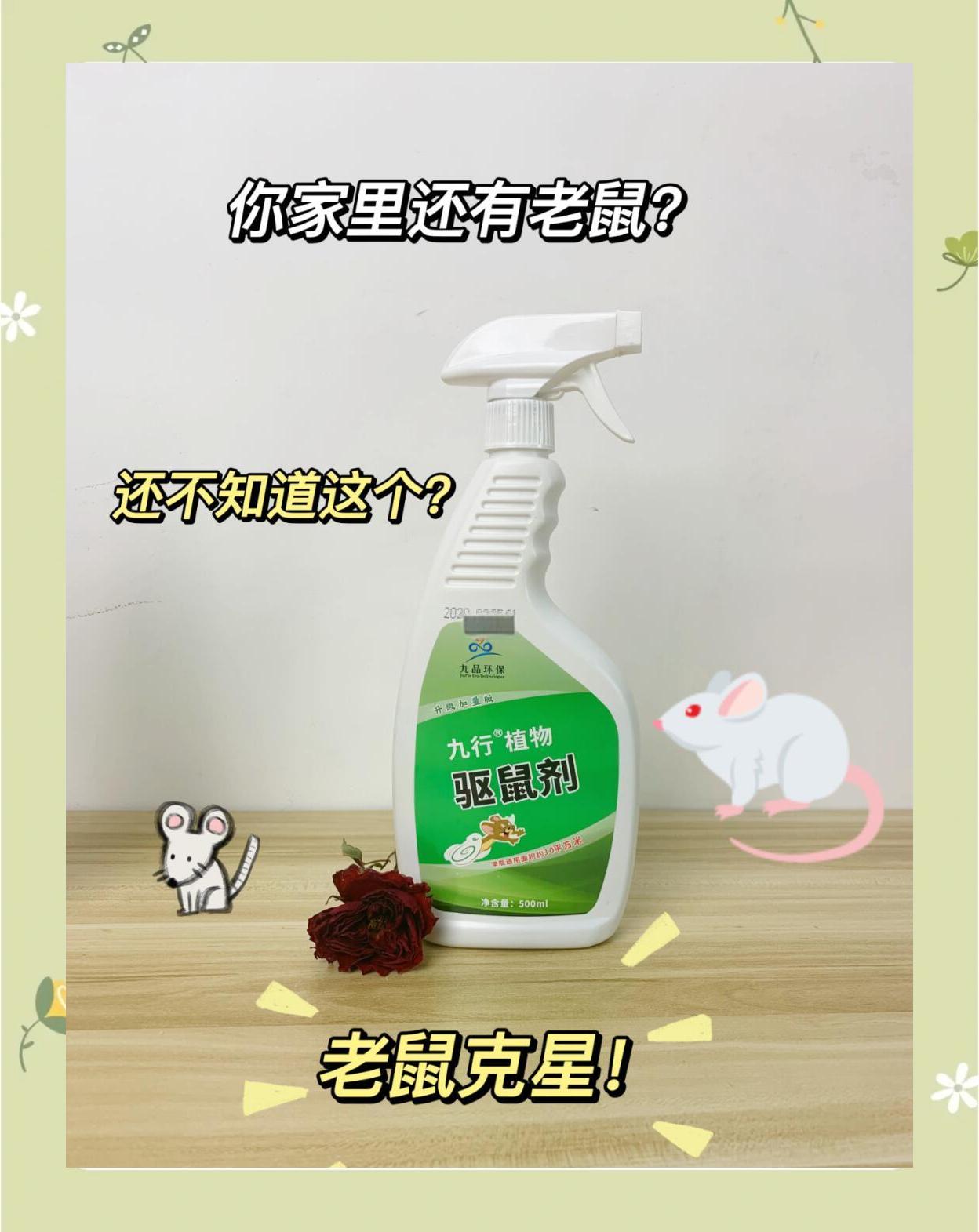 家里进老鼠了怎么办?怎样有效的消灭老鼠?