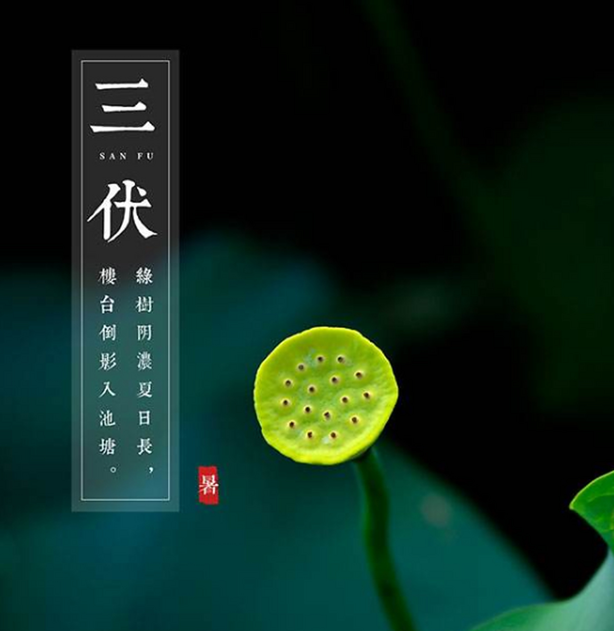 什么是三伏?