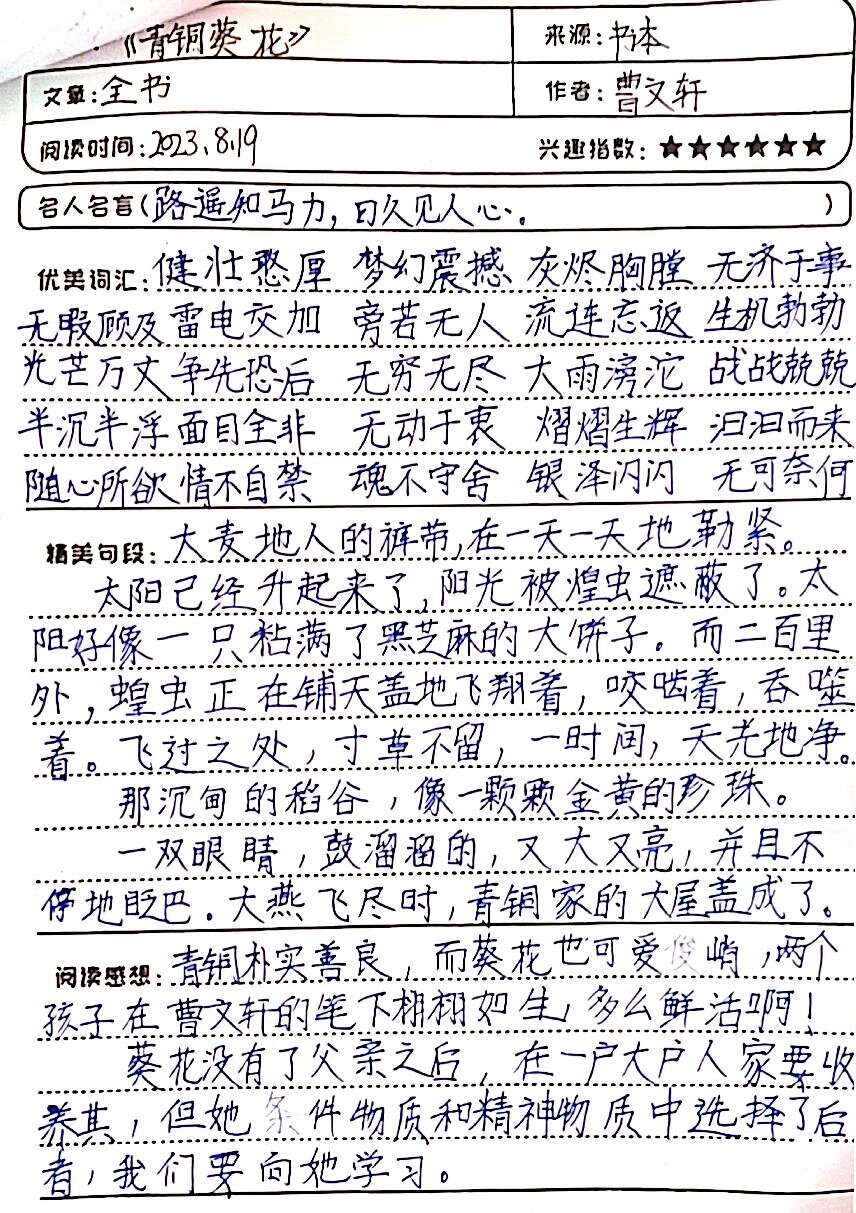 青铜葵花好词好句摘抄第二章