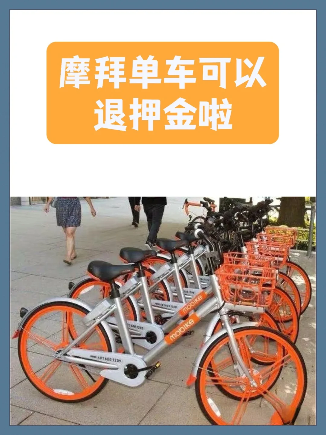 蜜蜂出行押金手动退款