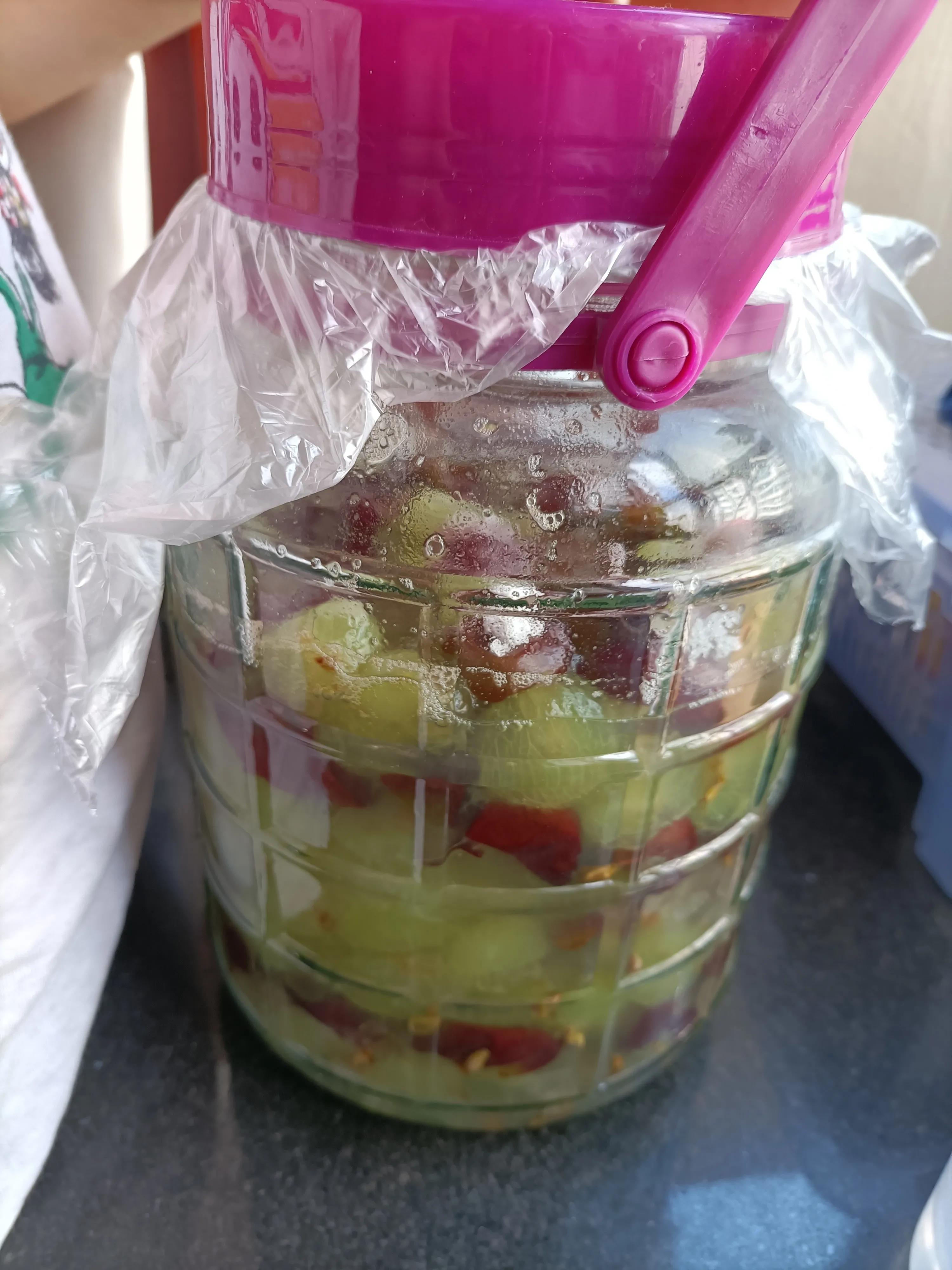家庭酿造葡萄酒制作方法大全