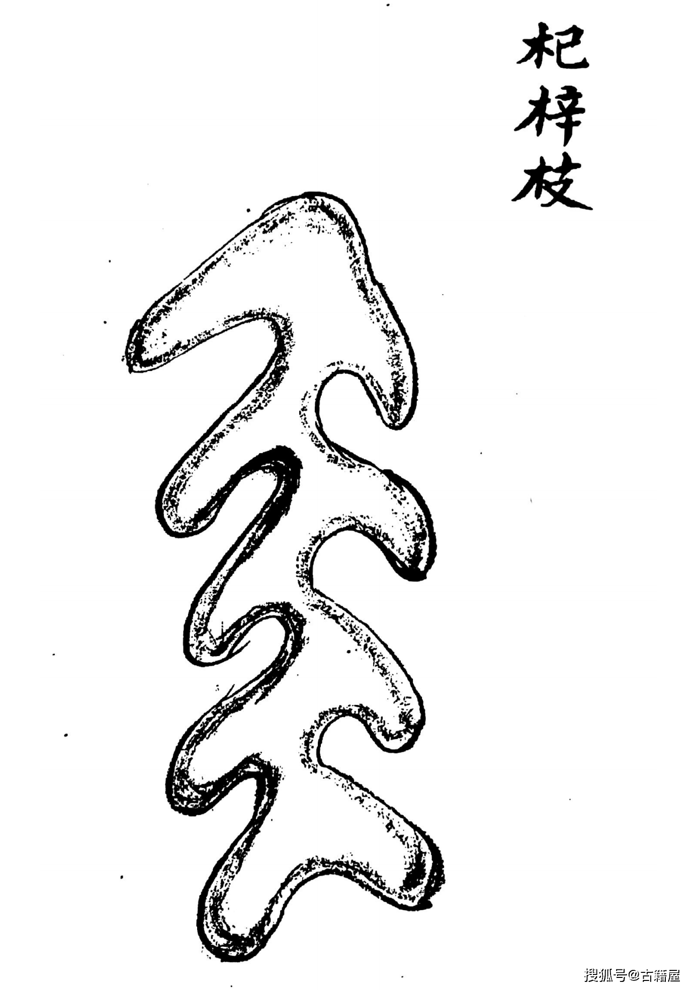 蜈这个字怎么组词2字