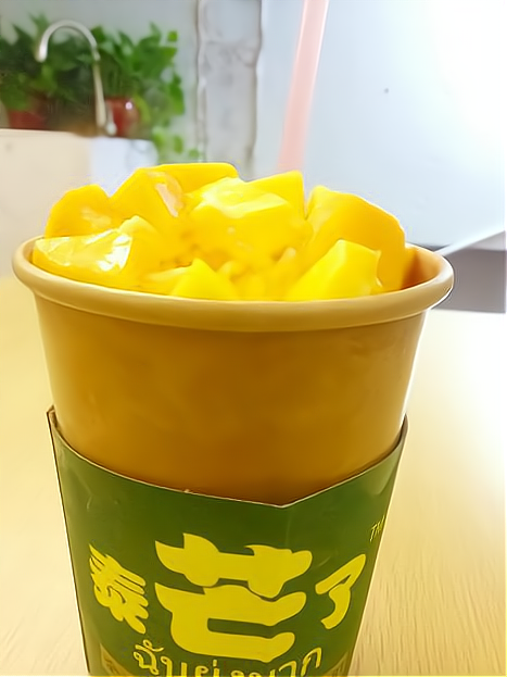 泰芒加盟店