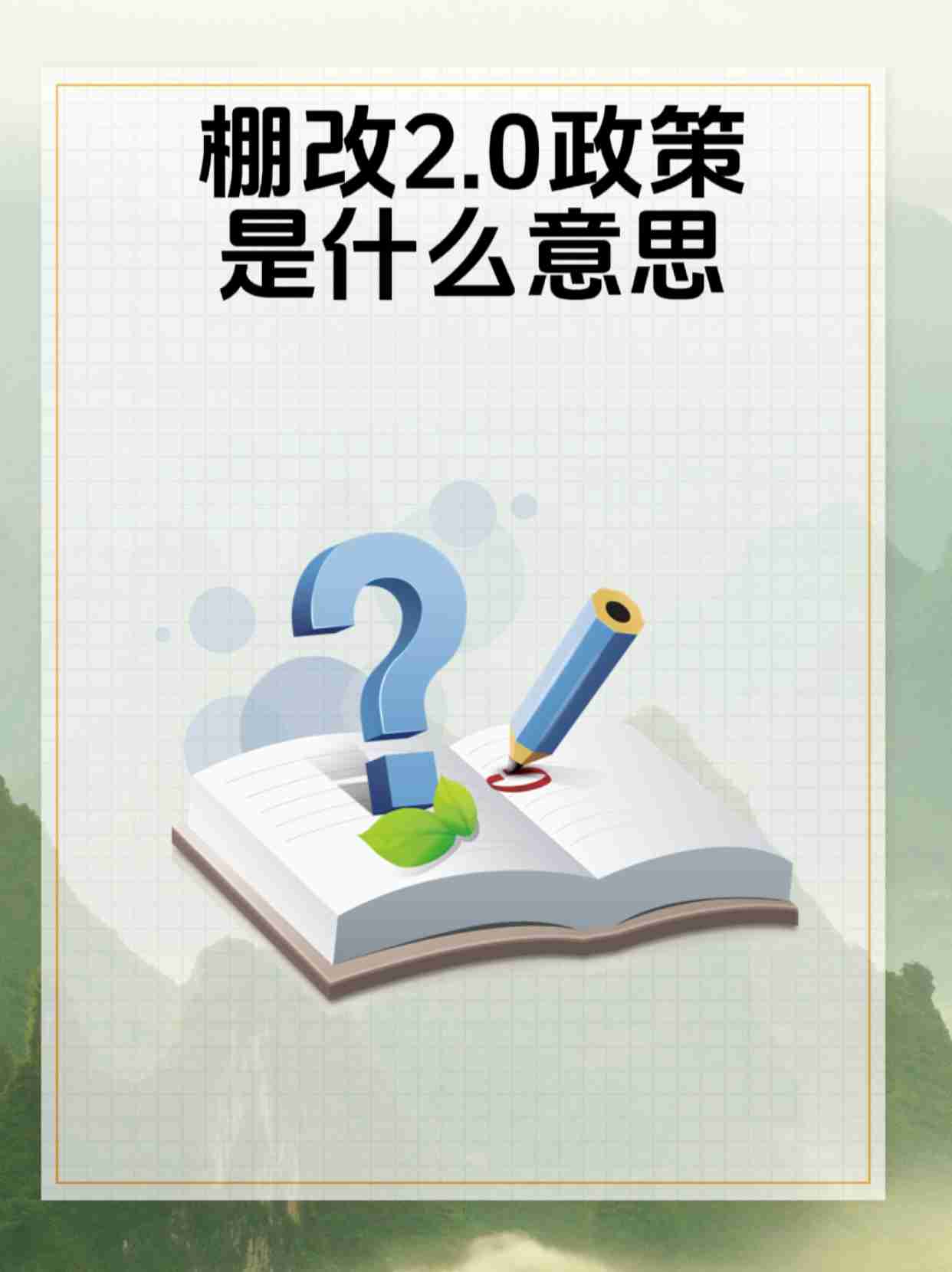policy 意思