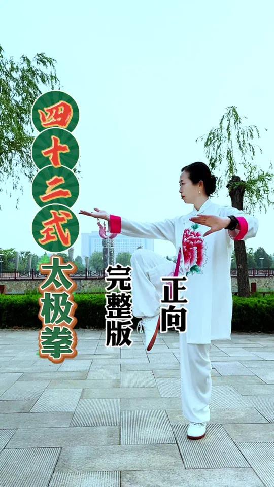 太极拳42式口诀表