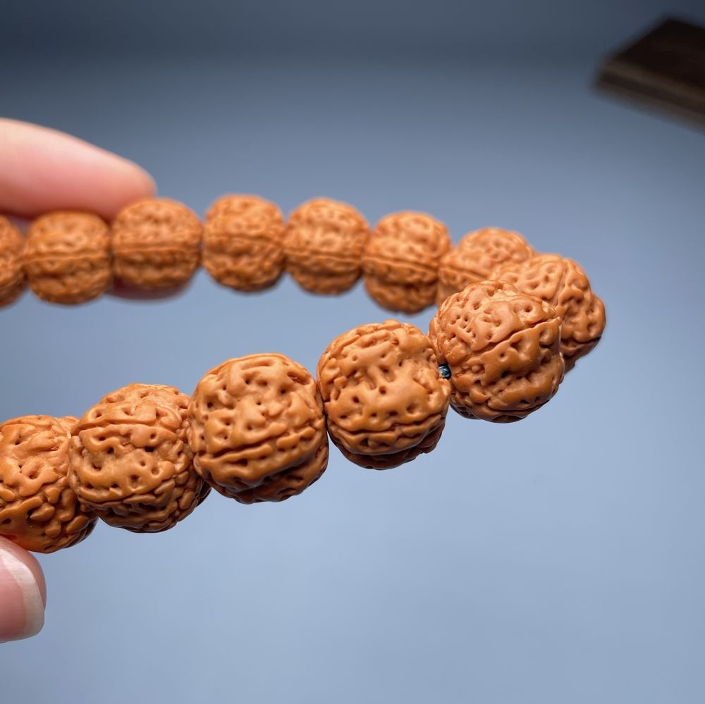 金刚菩提子几瓣的好啊?