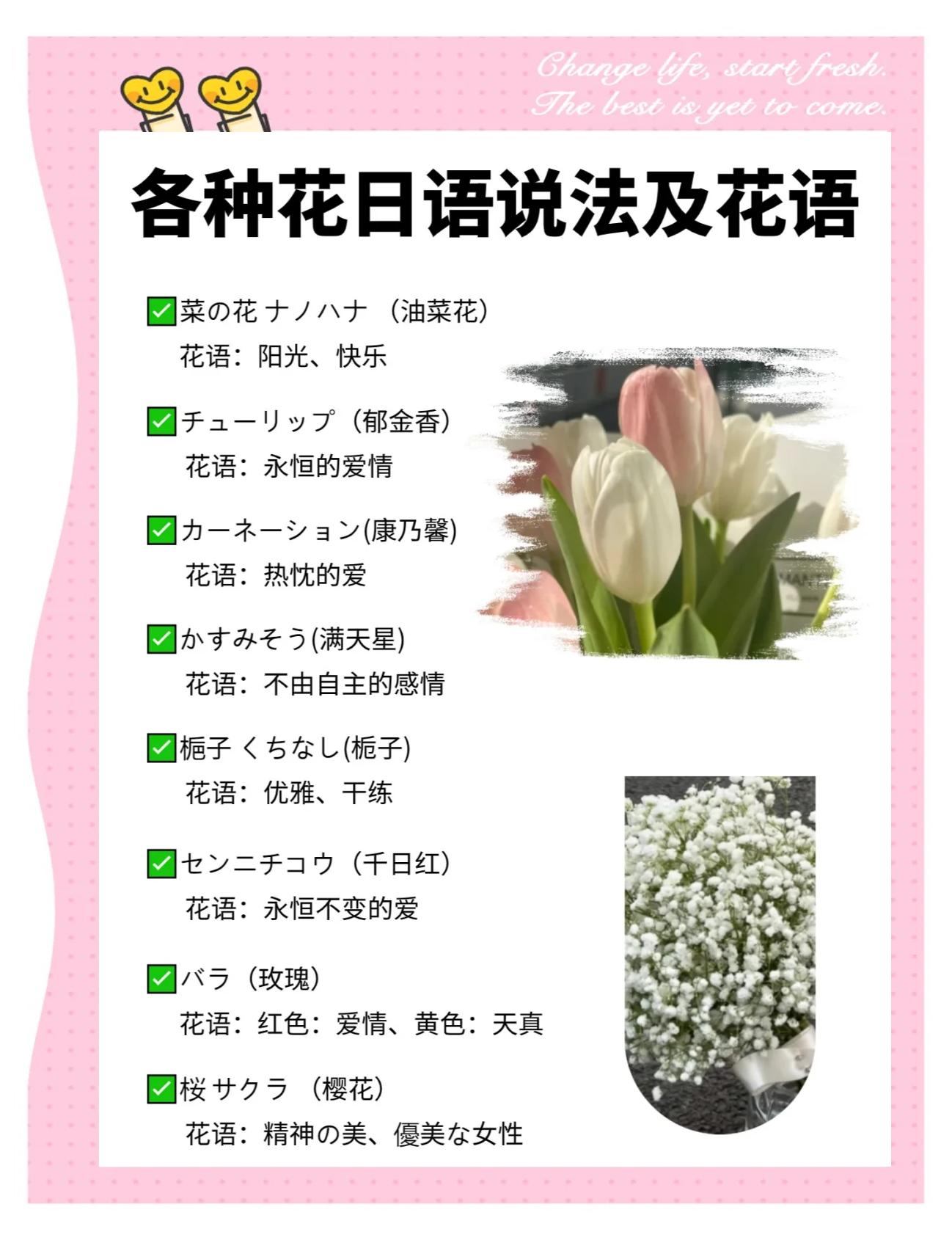 樱花日语怎么说中文谐音