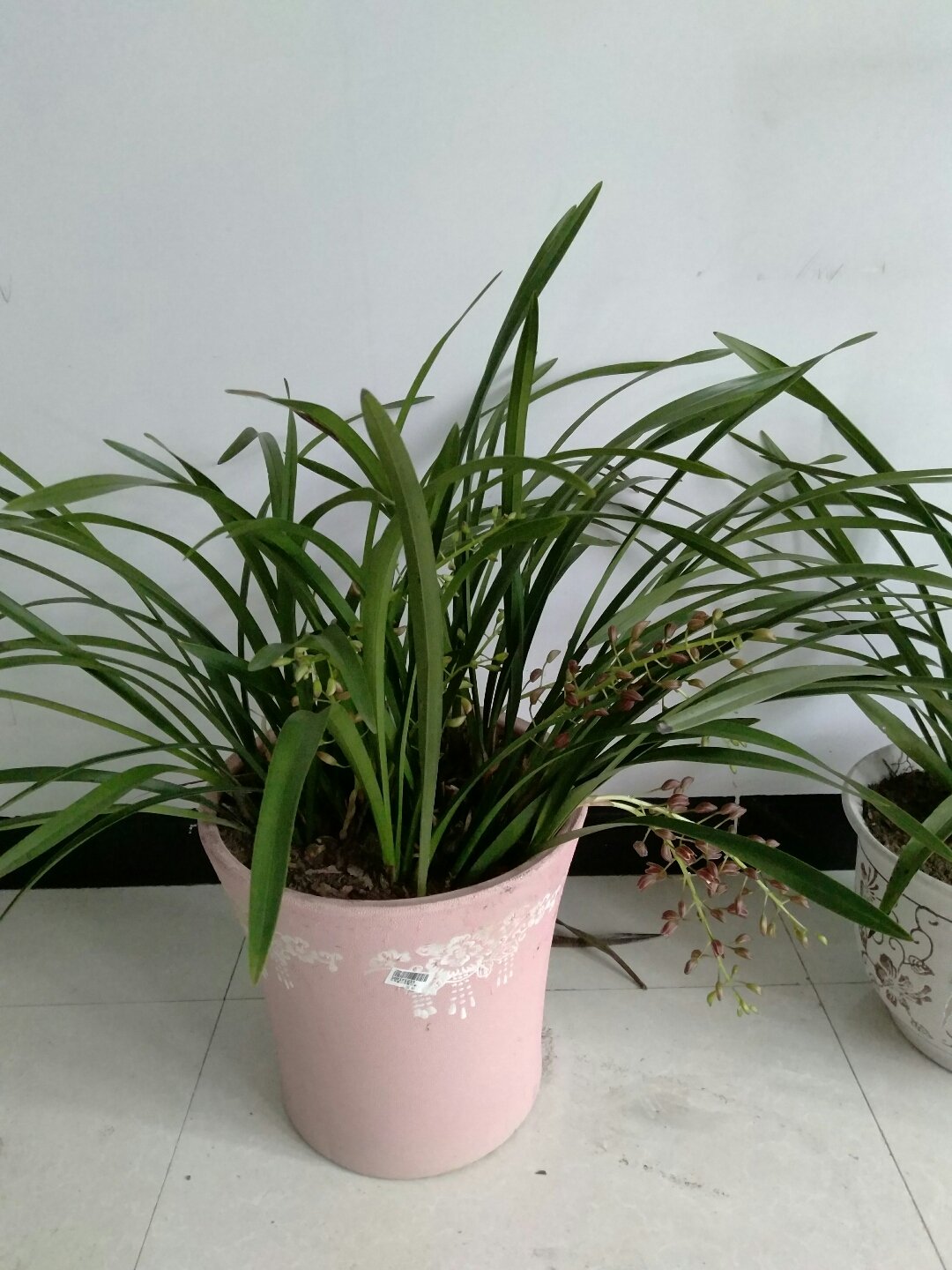 宜昌天气预报15天查询官网