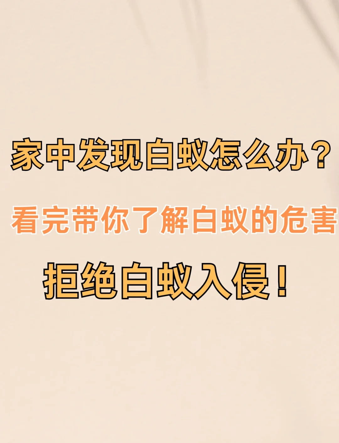 家里有白蚁是不是有不祥的预兆