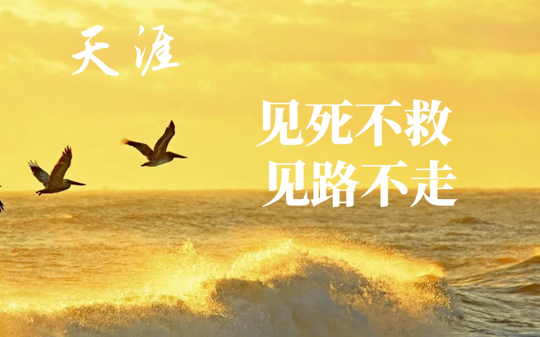 不见不散是什么意思?